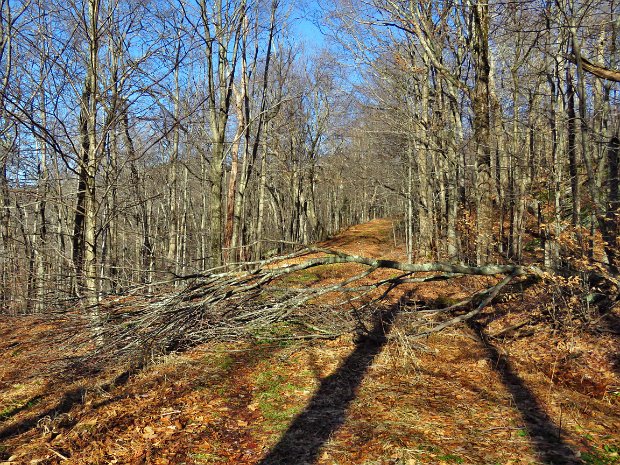 FlynnMaintenanceJan2020