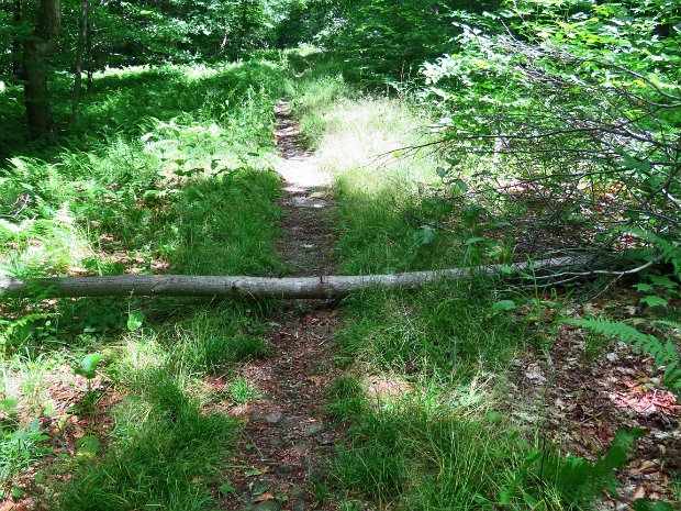 FlynnMaintenanceJul2020