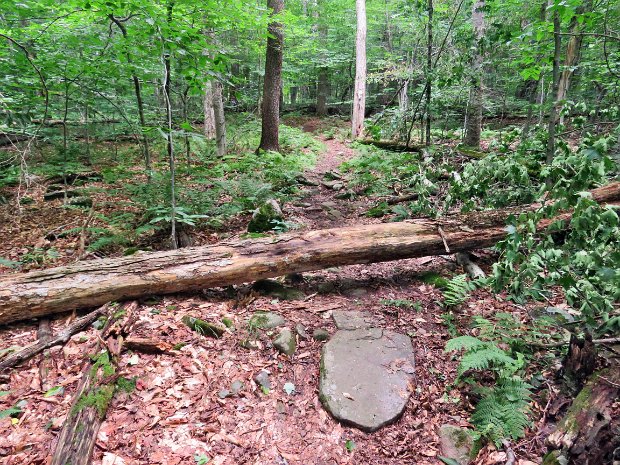 FlynnMaintenanceJul2021