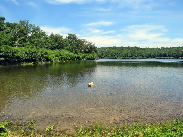 FlynnMaintenanceJul2022