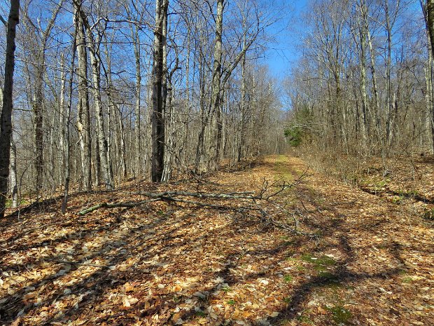 FlynnMaintenanceMar2022