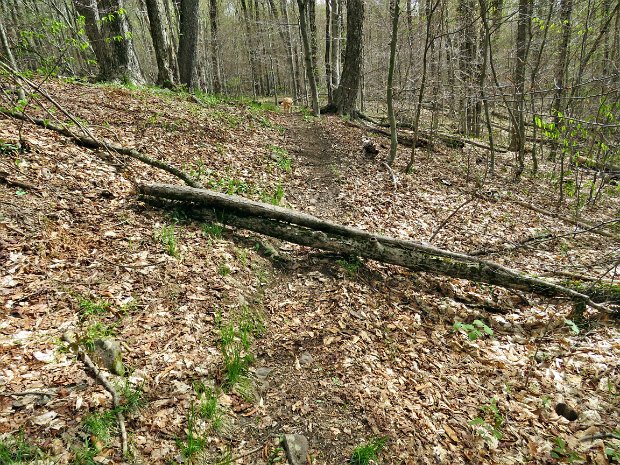 FlynnMaintenanceMay2017