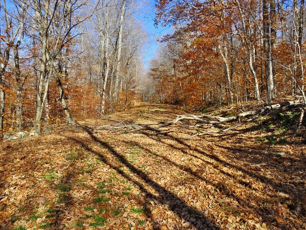 FlynnMaintenanceNov2015