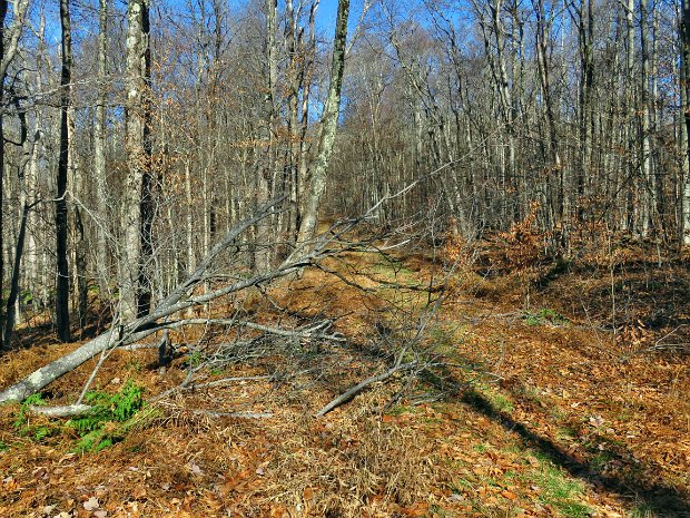 FlynnMaintenanceNov2019