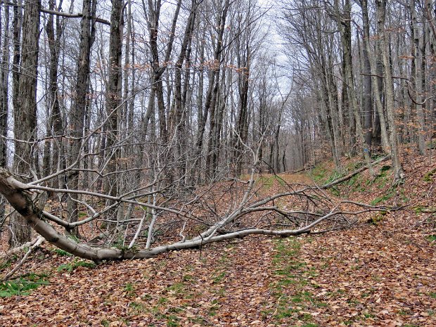 FlynnMaintenanceNov2021