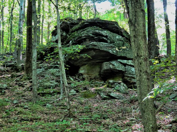 FlynnQuickLakeJul2018