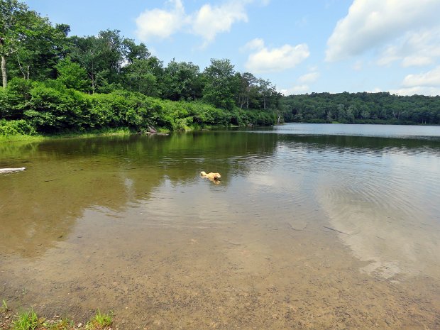 FlynnQuickMaintenanceJul2021