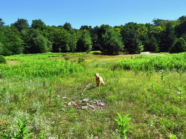 FrickFlynnBigRockJul2020