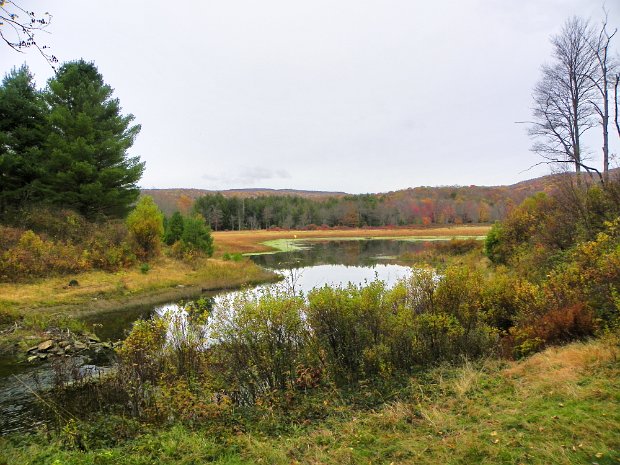 FrickHodgeFallsOct2011