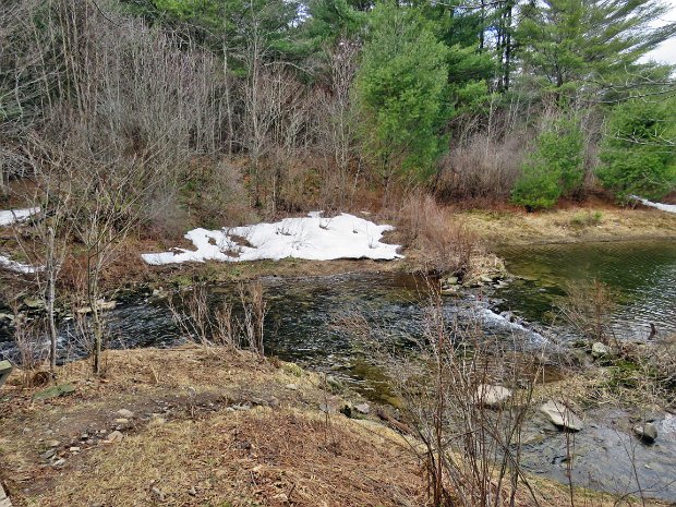 FrickLoggersFigure8Mar2025