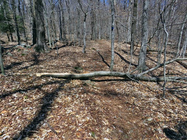 FrickMaintenanceApr2016