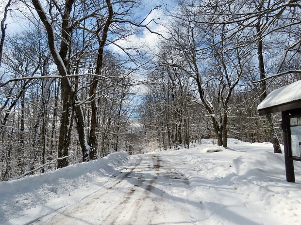 FrickMaintenanceApr2018