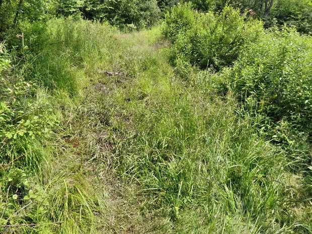 FrickMaintenanceJul2015