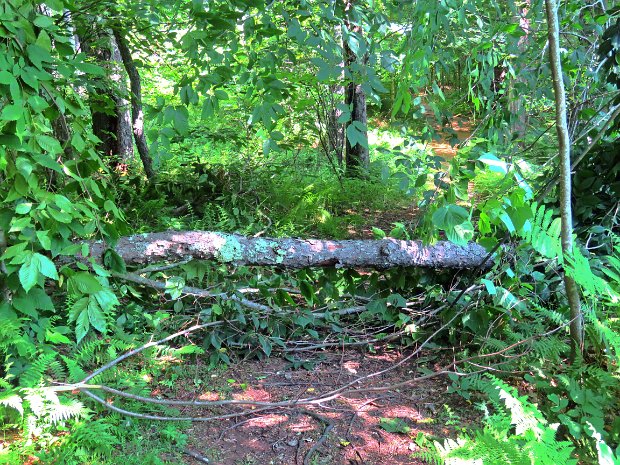 FrickMaintenanceJul2020