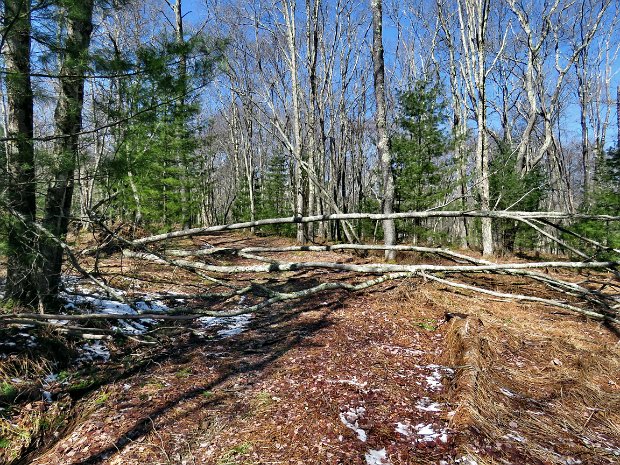 FrickMaintenanceMar2024