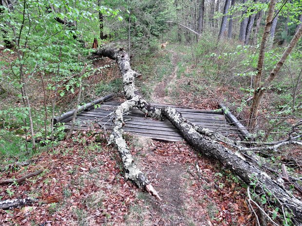 FrickMaintenanceMay2015