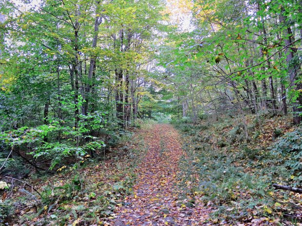 FrickMaintenanceOct2015