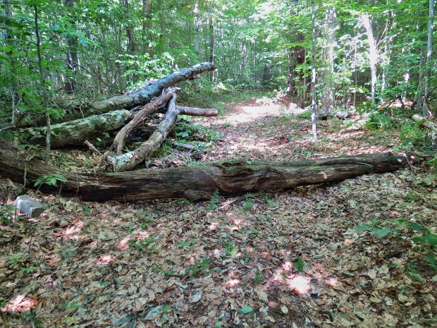 FrickMaintenanceSep2015