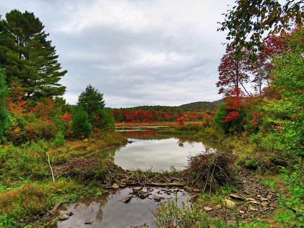 FrickMaintenanceSep2020