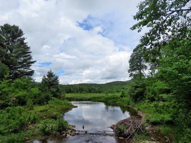 FrickPondLoopJun2021