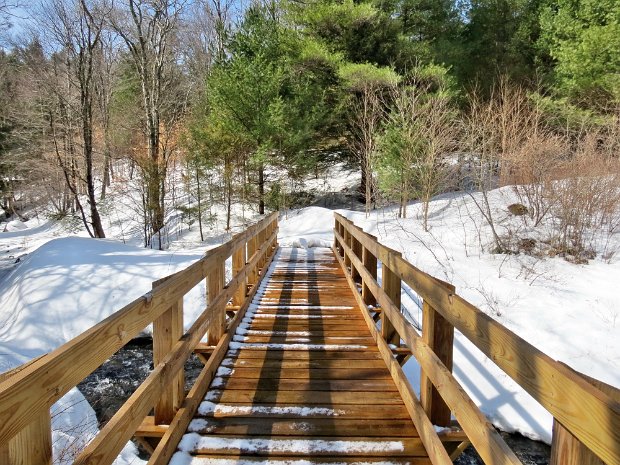 FrickQuickLoggersApr2015