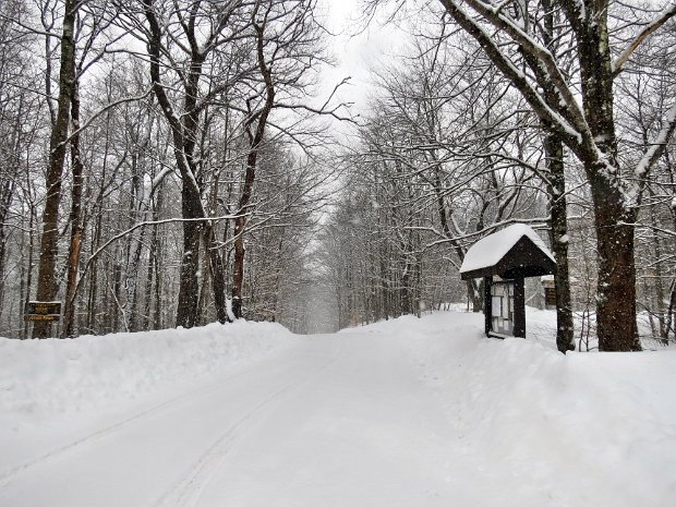 FrickSnowshoeFeb2014