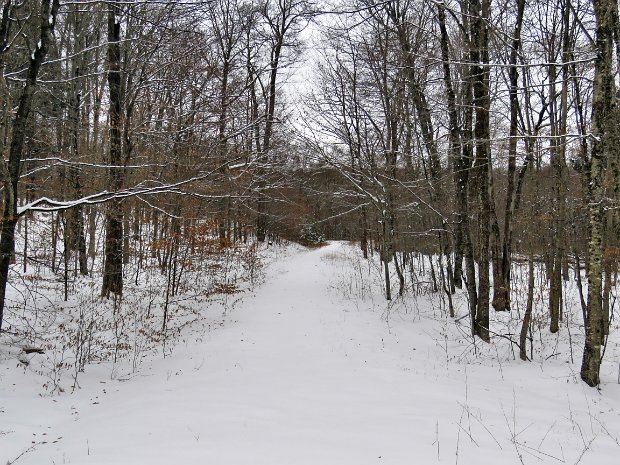 FrickSnowshoeLoopNov2018