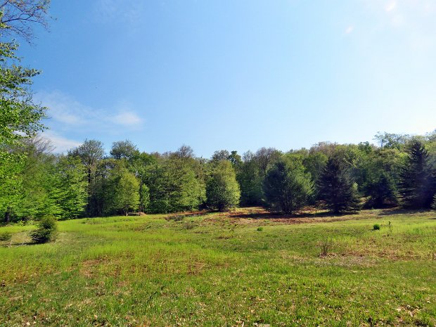 HodgeLookoutFrickMay2021