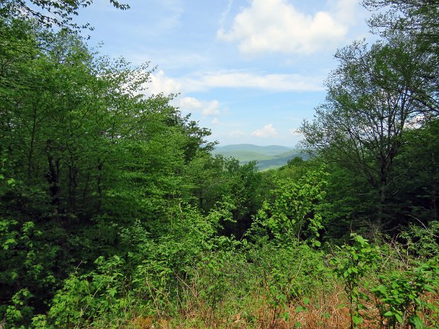 HodgeLookoutFrickPondMay2016