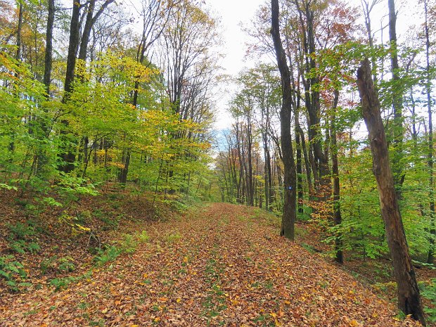 HodgeLookoutsOct2021