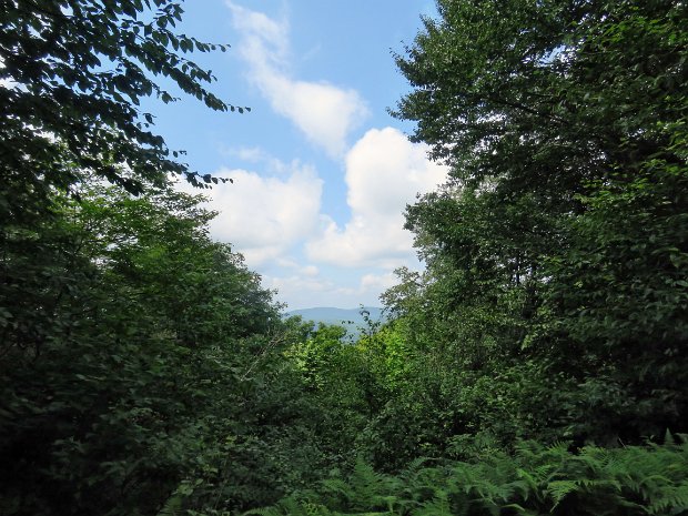 HodgeLookoutsPondAug2021