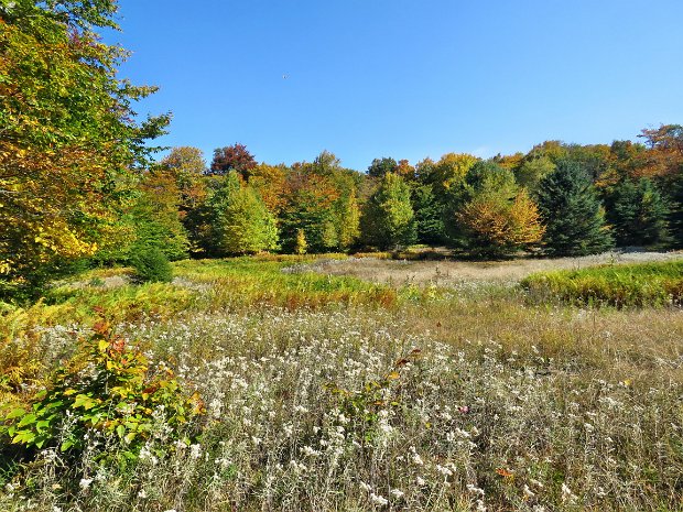 HodgeLookoutsTwoPondsOct2022