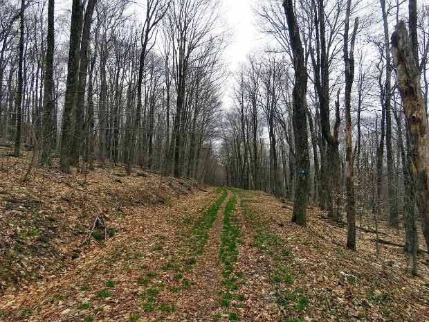 HodgePondFlynnLoopApr2021