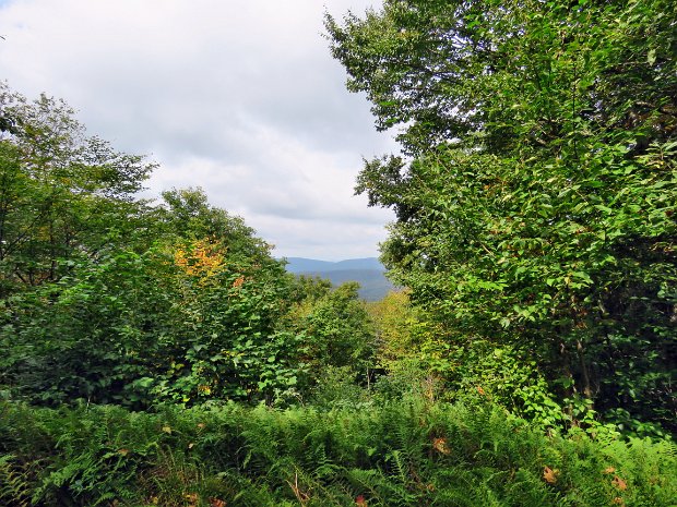 HodgePondLookoutSep2018