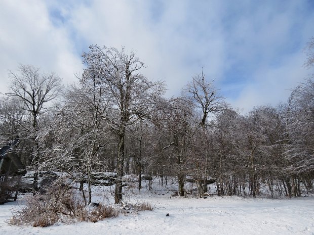 HodgePondLookoutsDec2021