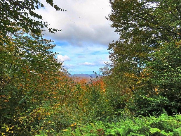 HodgeThreeLookoutsOct2021