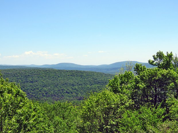 HodgeTwoLookoutsFrickMay2024