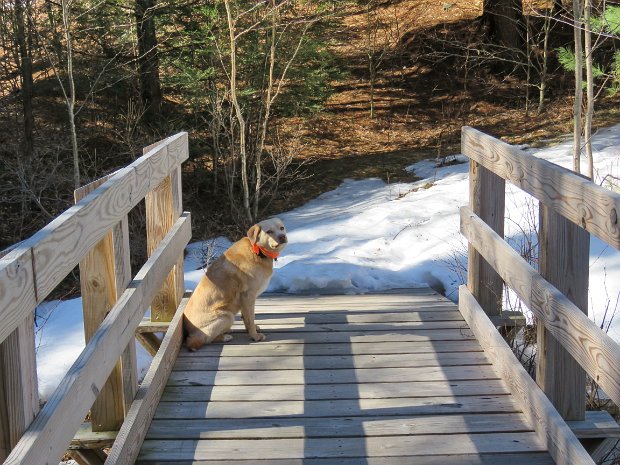 LoggersLoopBigRockMar2017