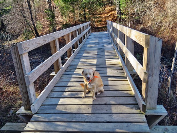 LoggersLoopBigRockNov2016