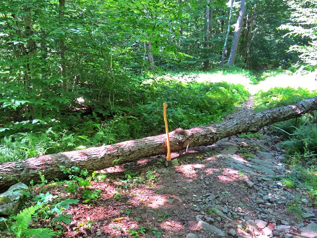 LoggersLoopMaintenanceAug2022