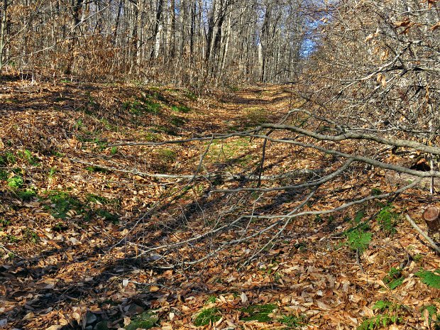 LoggersLoopMaintenanceDec2021