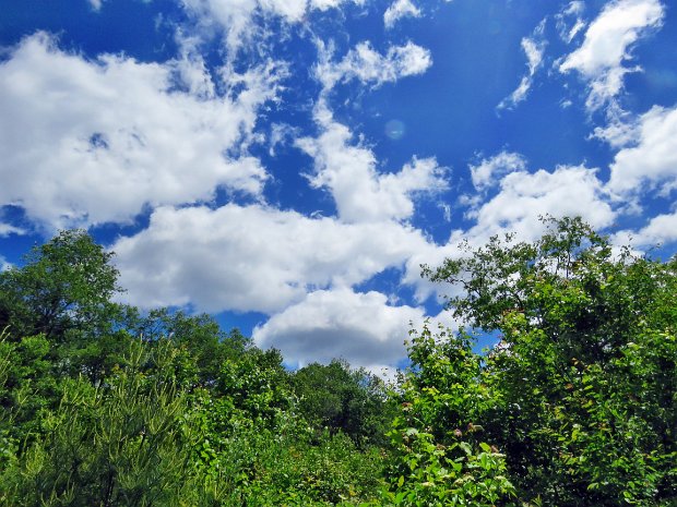 LoggersLoopMaintenanceJun2022