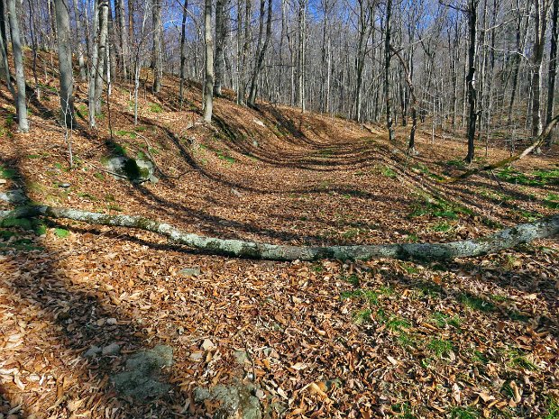 LoggersLoopMaintenanceNov2016