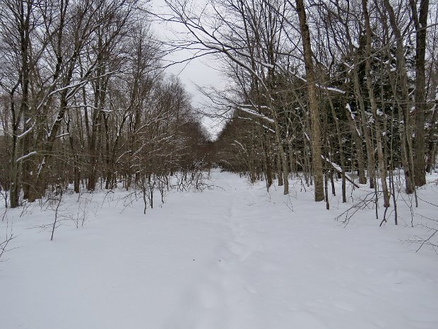 LoggersLoopQuickLakeMar2018