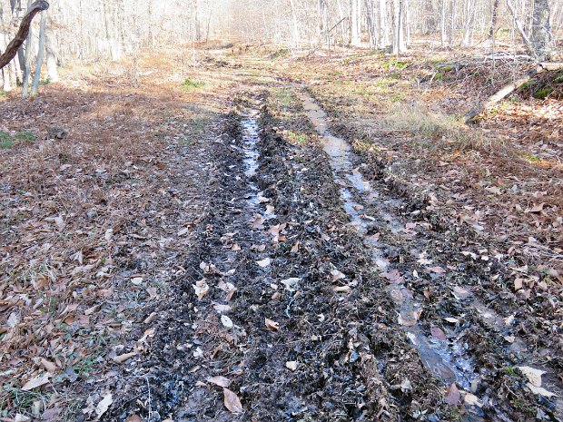 LoggersQuickFlynnBigRockNov2017