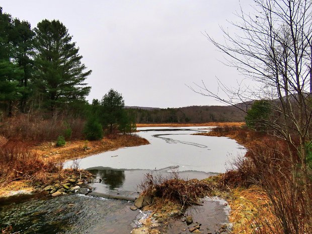 QuickBigRockFlynnDec2019