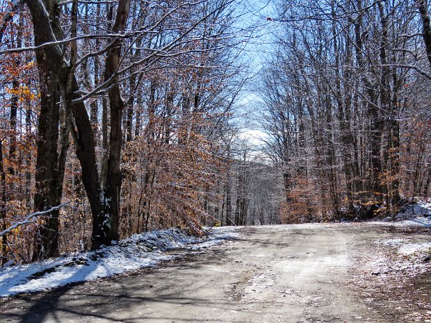 QuickBigRockFlynnNov2017