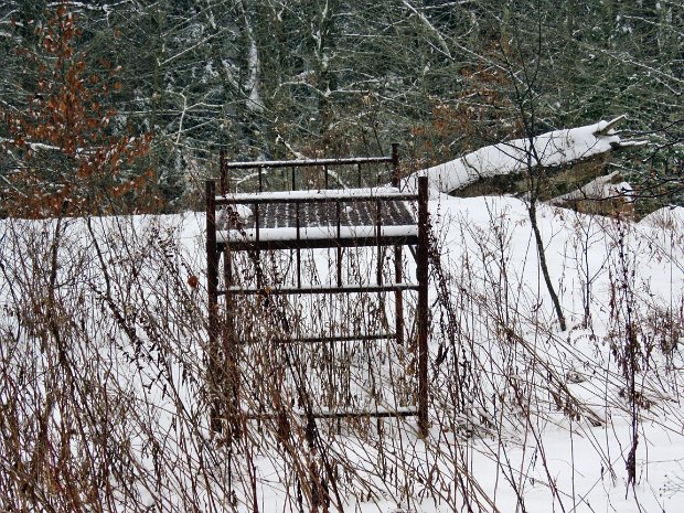 QuickBigRockLoggersFeb2018