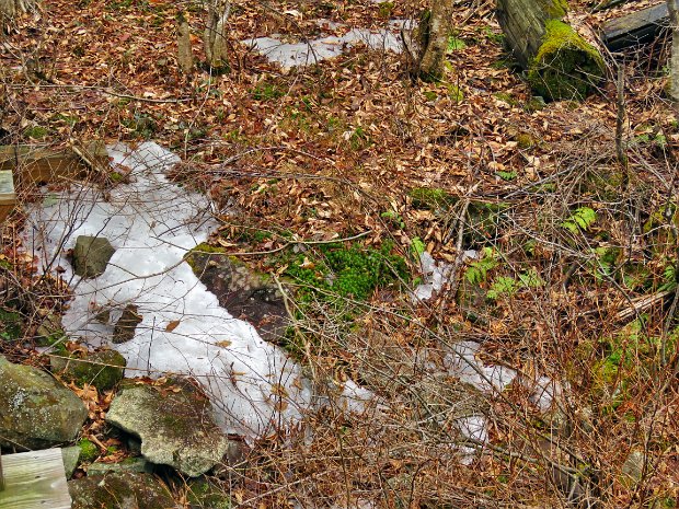 QuickBigRockLoggersMar2020