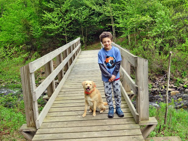 QuickLoggersBigRockFlynnMay2019